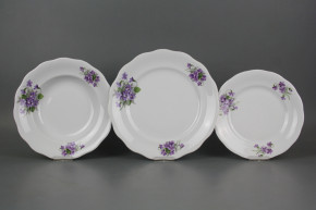 Plate set Alaska Violets 24-piece CBB
