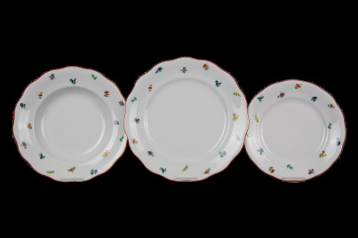 Plate set Alaska Sprays 24-piece ACL č.1