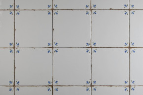Tile Forli Blanco 15x15cm Forget-me-not Sprays E