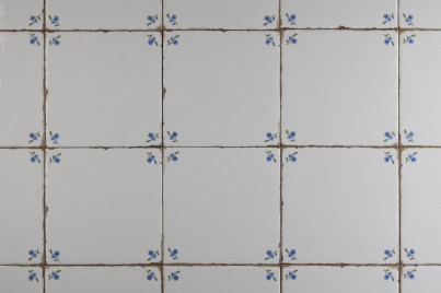 Tile Forli Blanco 15x15cm Forget-me-not Sprays E č.1
