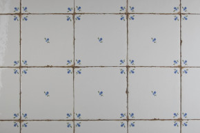 Tile Forli Blanco 15x15cm Forget-me-not Sprays G