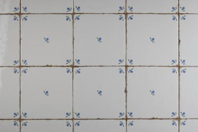 Tile Forli Blanco 15x15cm Forget-me-not Sprays G č.1