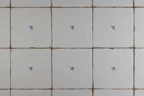 Tile Forli Blanco 15x15cm Forget-me-not Sprays I