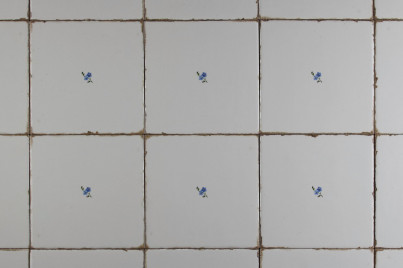 Tile Forli Blanco 15x15cm Forget-me-not Sprays I č.1