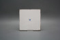 Tile Forli Blanco 15x15cm Forget-me-not Sprays I č.2