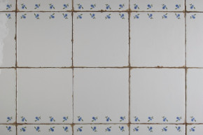 Tile Forli Blanco 15x15cm Forget-me-not Sprays K