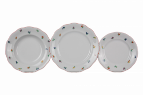 Plate set Alaska Sprays 36-piece ACL