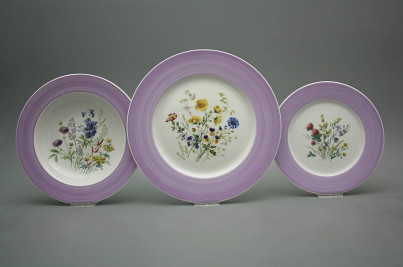 Plate set Nina Flowering meadow 12-piece IFP č.1