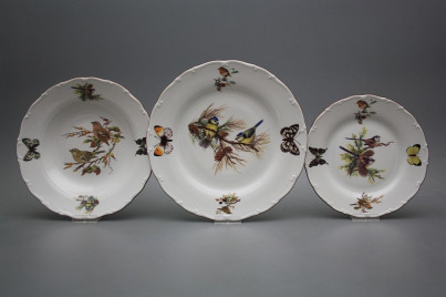 Plate set Ofelia Birds 36-piece GHL č.1