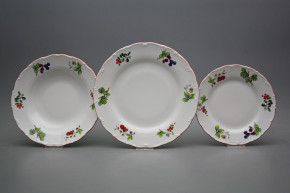 Plate set Ofelia Forest berries 12-piece ACL