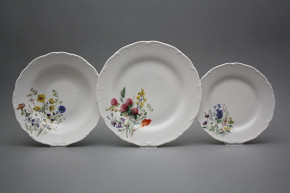 Plate set Ofelia Flowering meadow 12-piece HBB